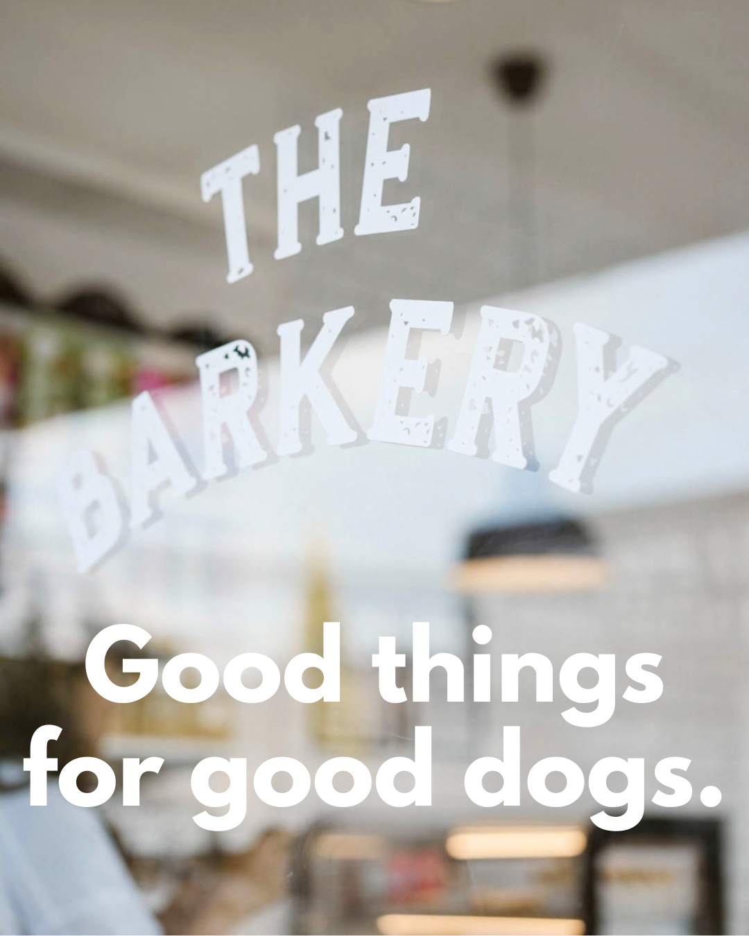The Barkery Bali