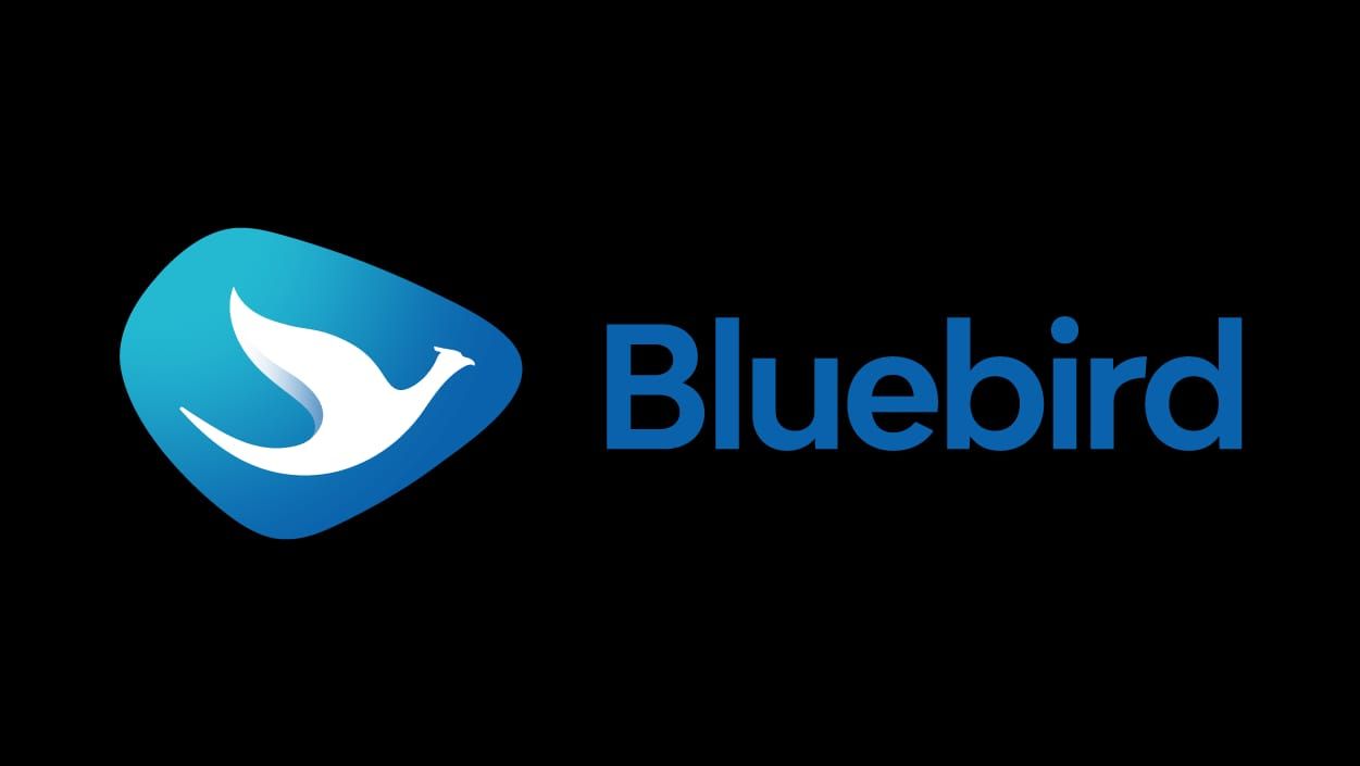 PT Central Naga Europindo (Bluebird BSD Group)