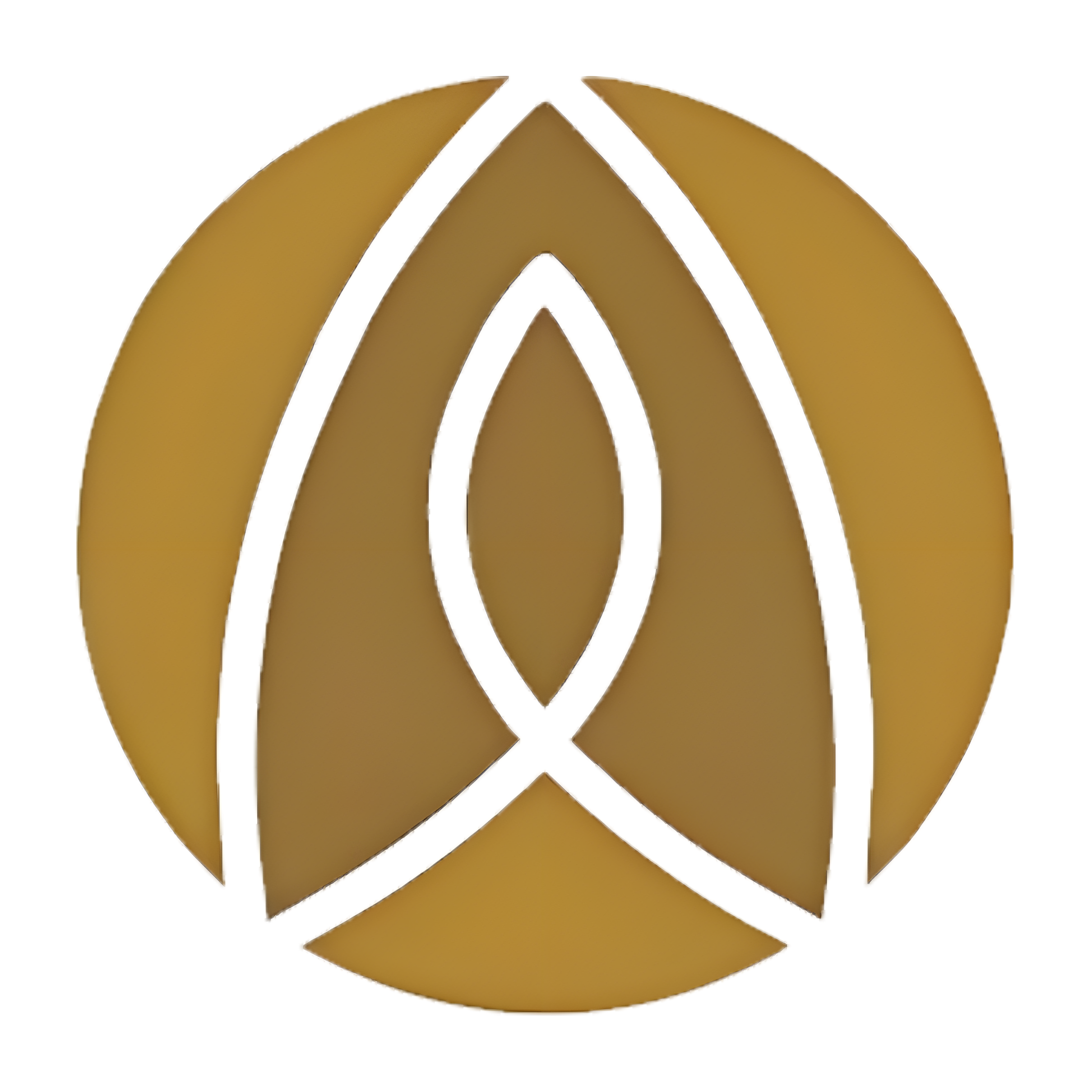 Aridzka Group