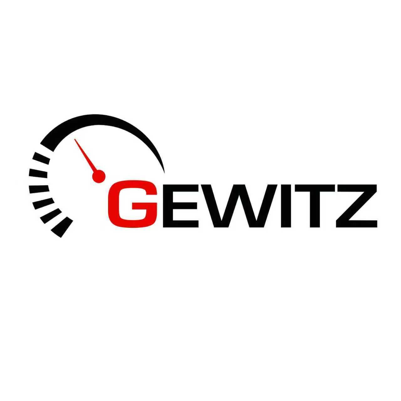 Gewitz Watch