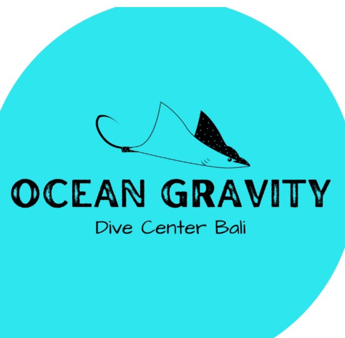 Ocean Gravity Bali logo