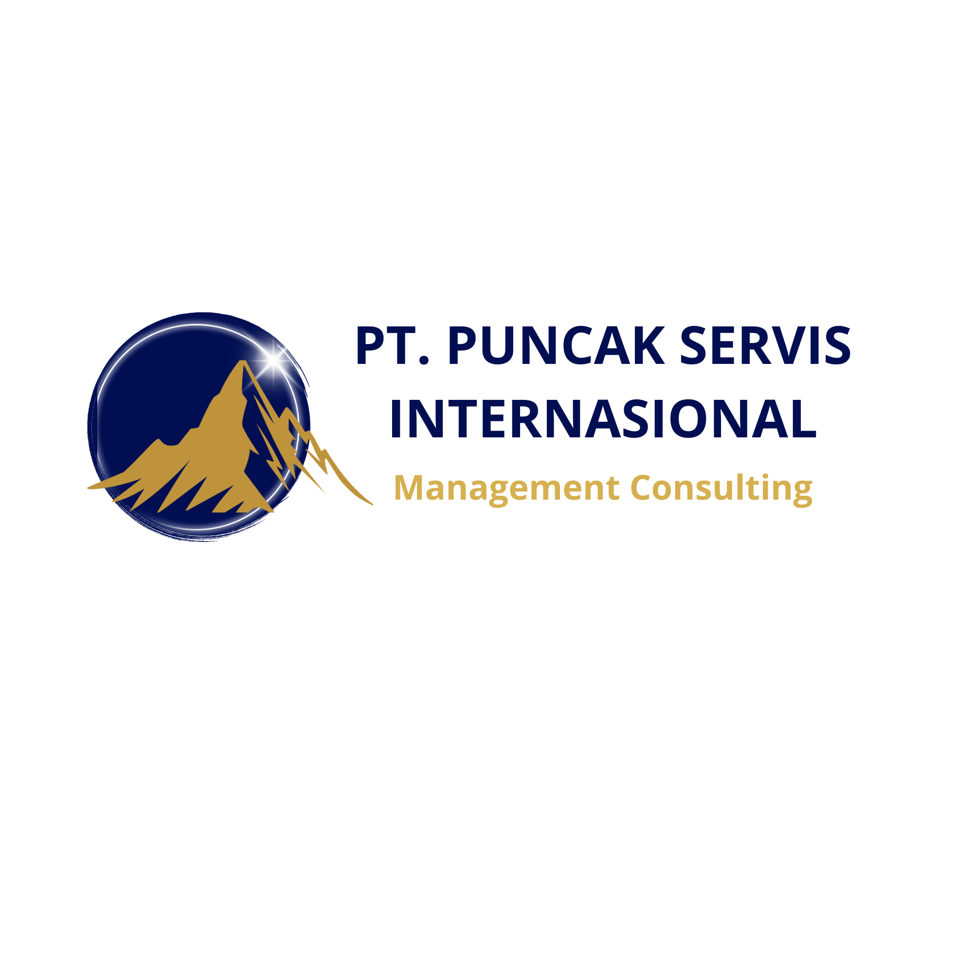 PT. Puncak Servis Internasional