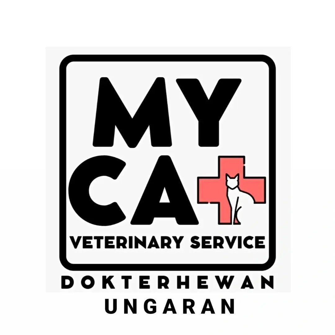 Klinik Hewan My Cat Veterinary Service
