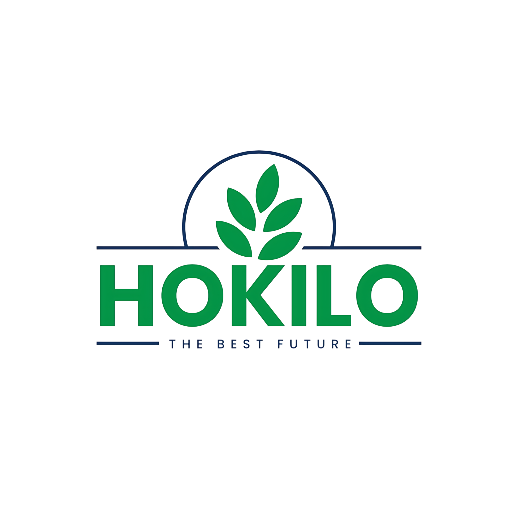 CV HOKILO MAKMUR ABADI