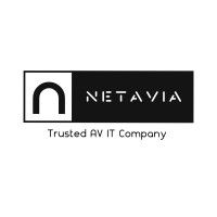 PT Netavia Startech Indonesia