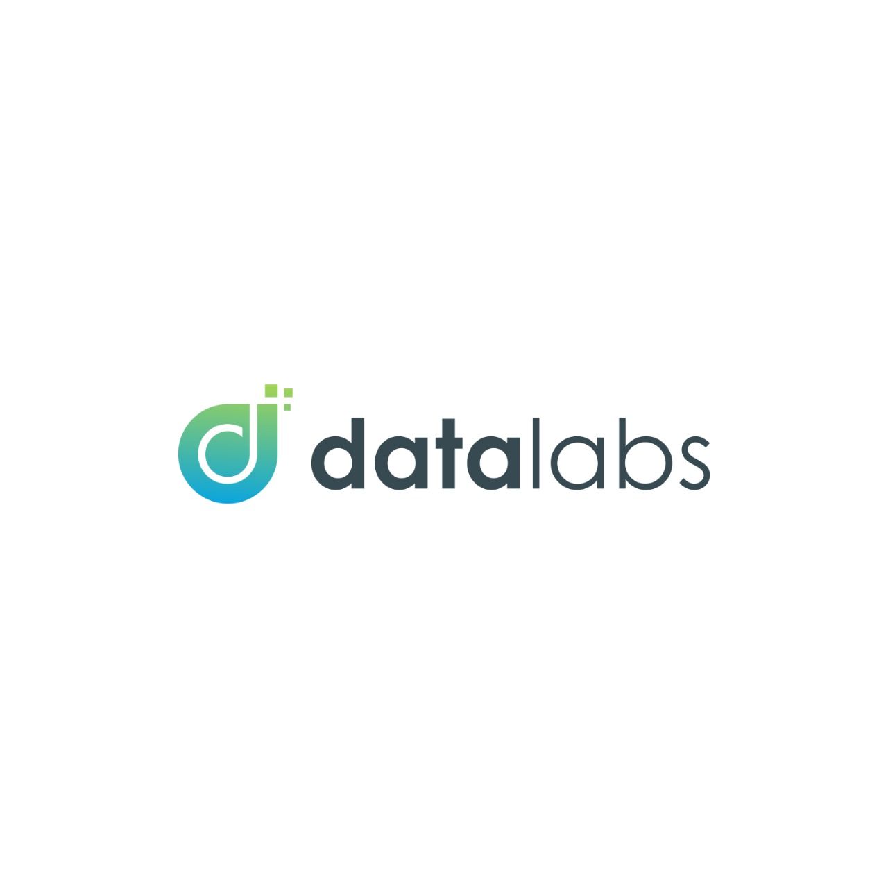 PT Data Labs Analytics