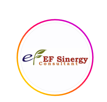 EF Sinergy Consultant -