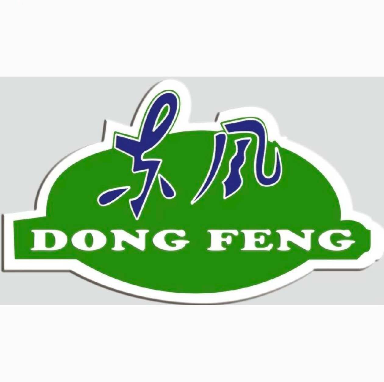 PT. Dongfeng Energy Indonesia