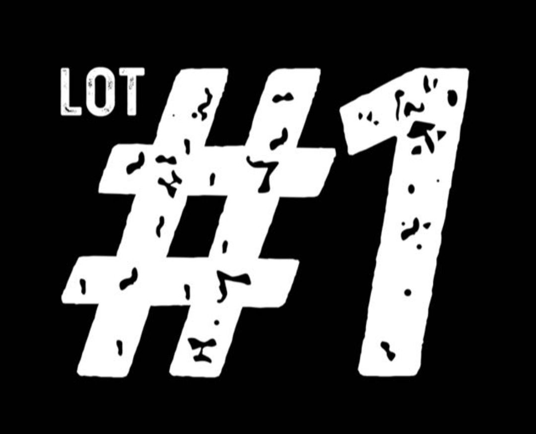 Lot 1