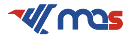 Mas Cargo Express logo
