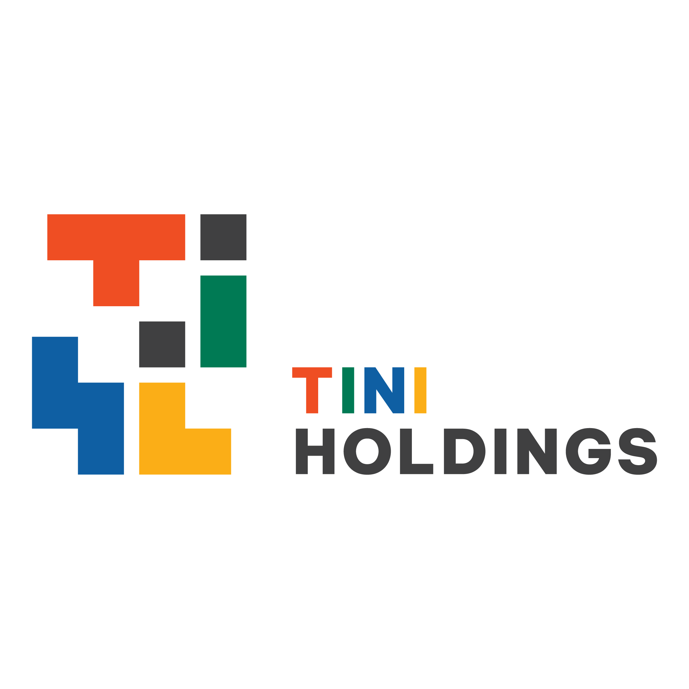 CÔNG TY CỔ PHẦN ĐẦU TƯ TINI HOLDINGS