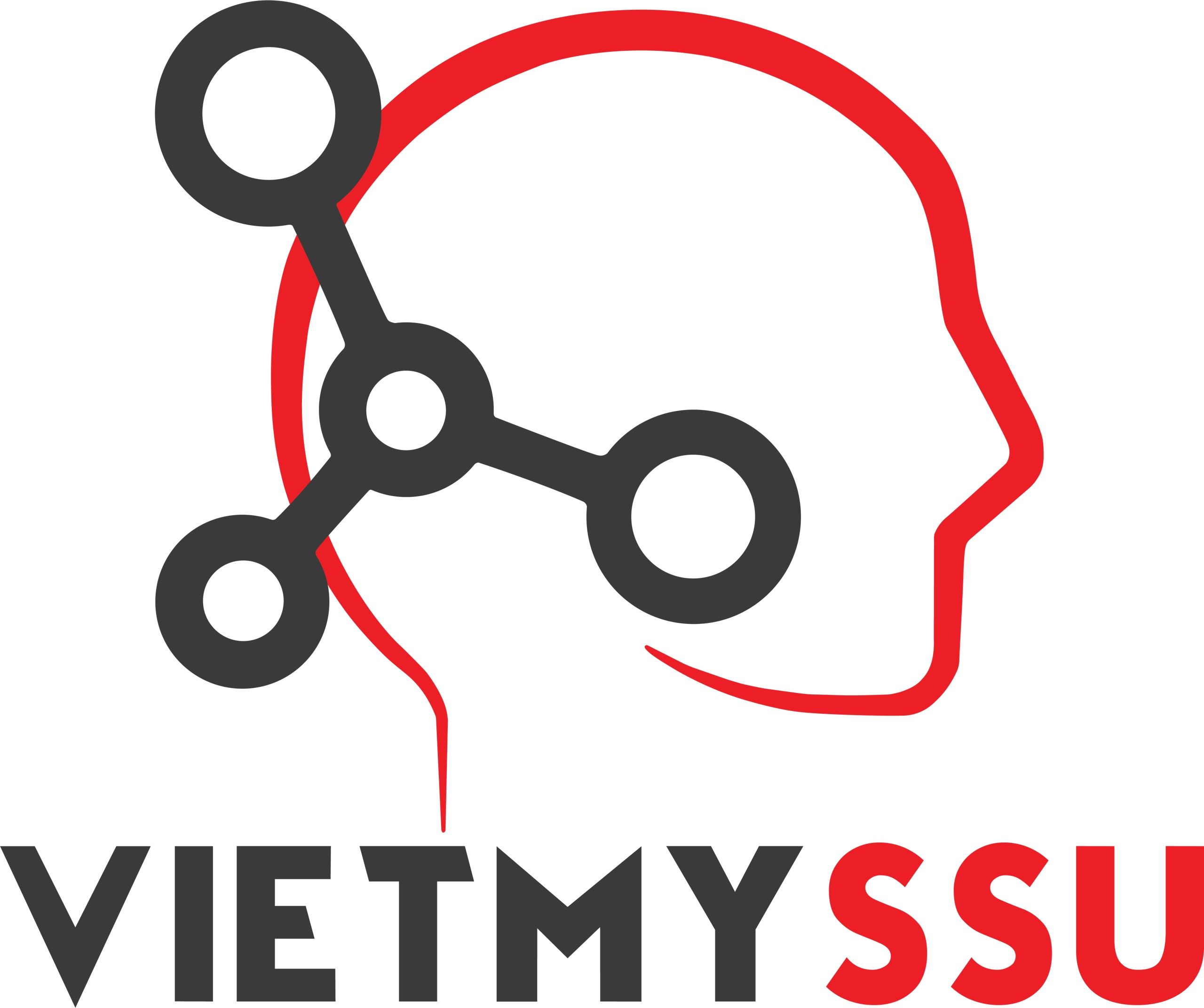 Việt Mỹ -SSU