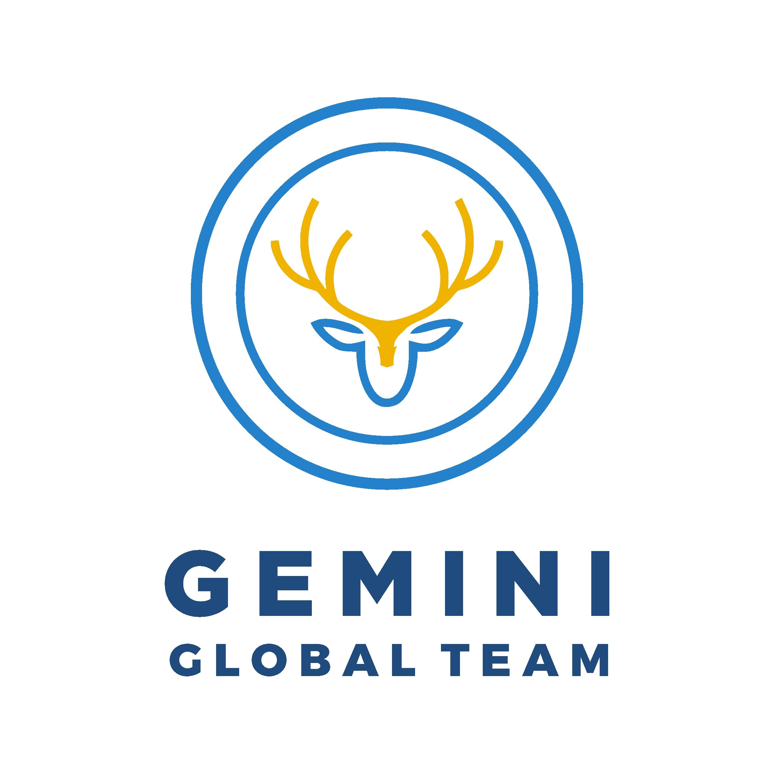 Gemini Global Team