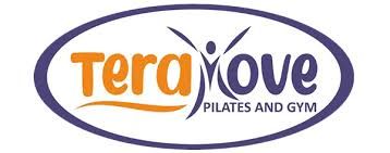 TeraMove logo