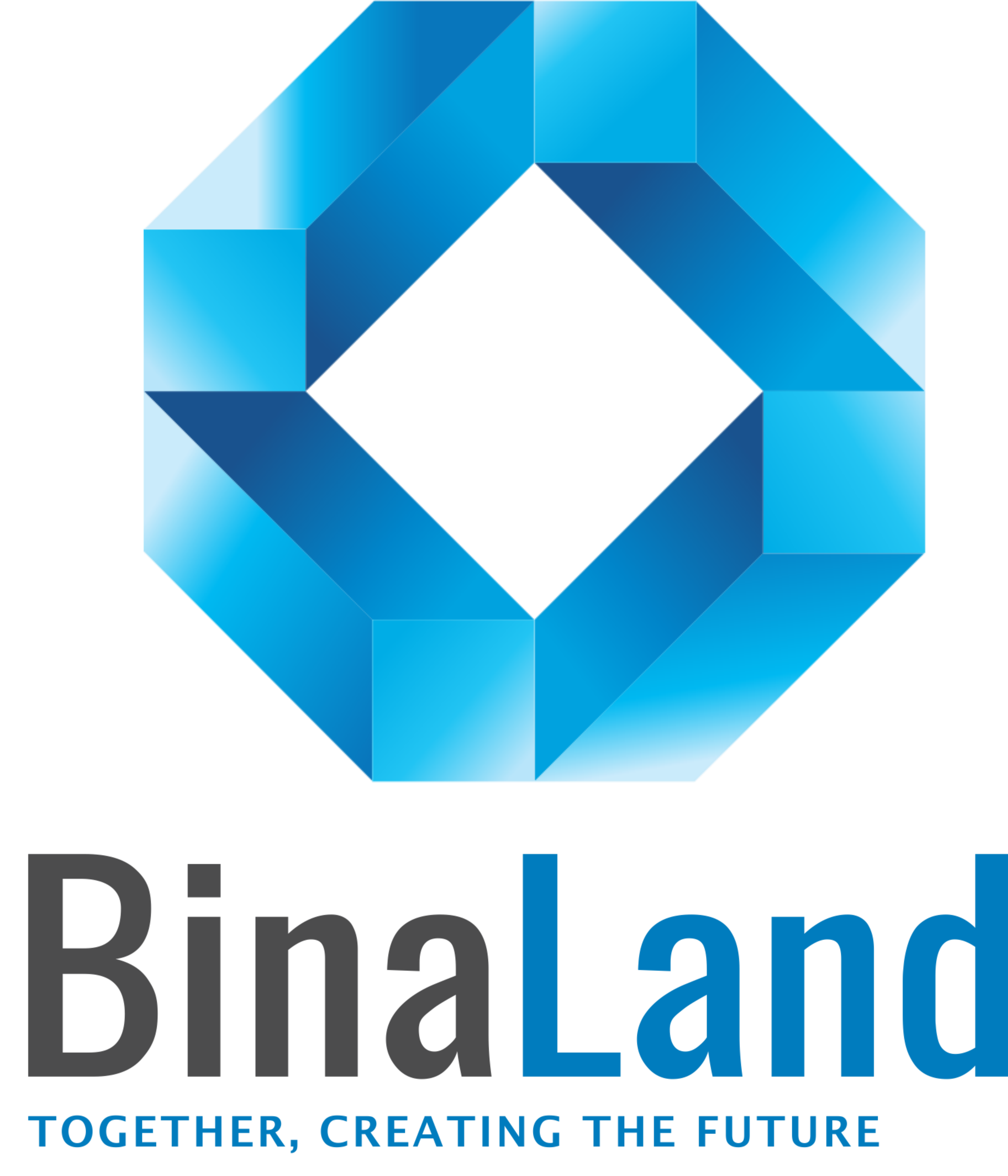 BINALAND PROJECT logo