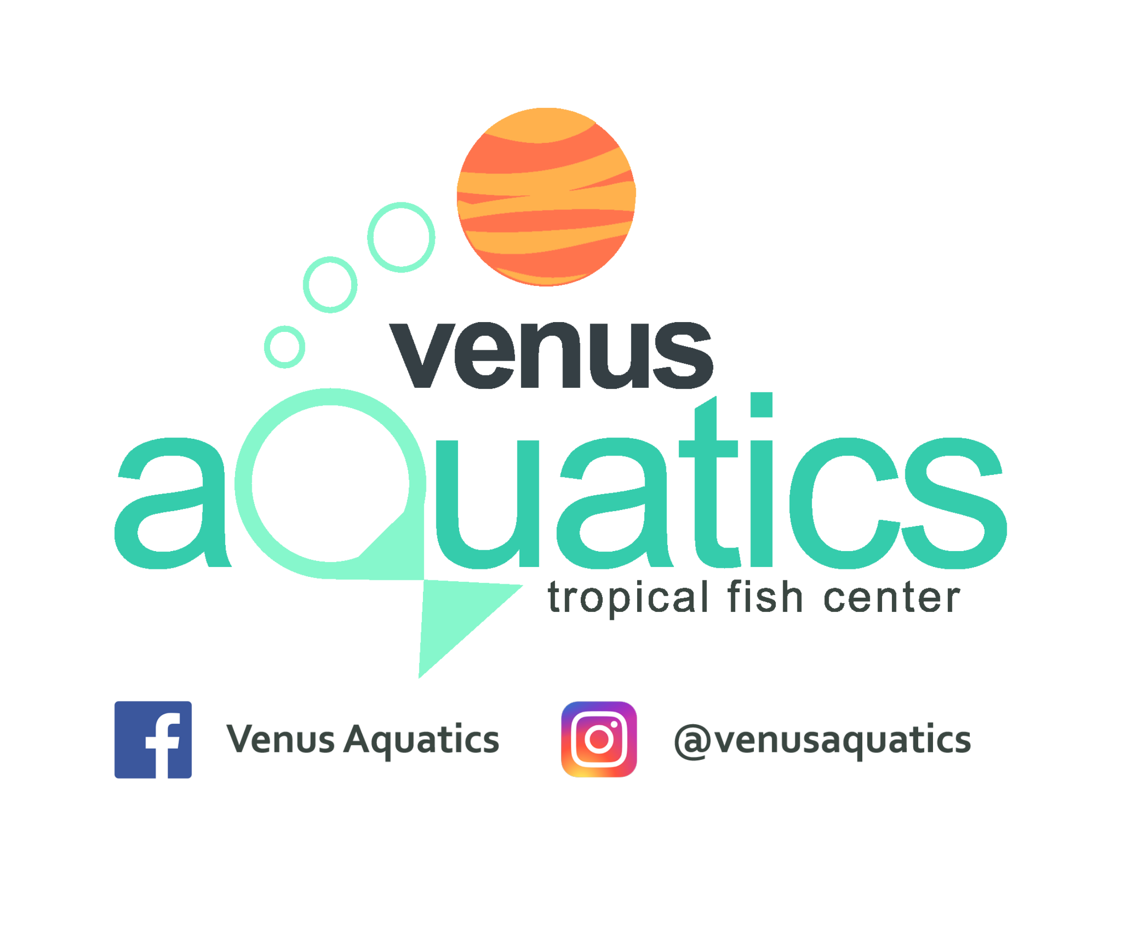 Venus aquatics