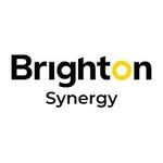 Brighton Synergy Bali logo