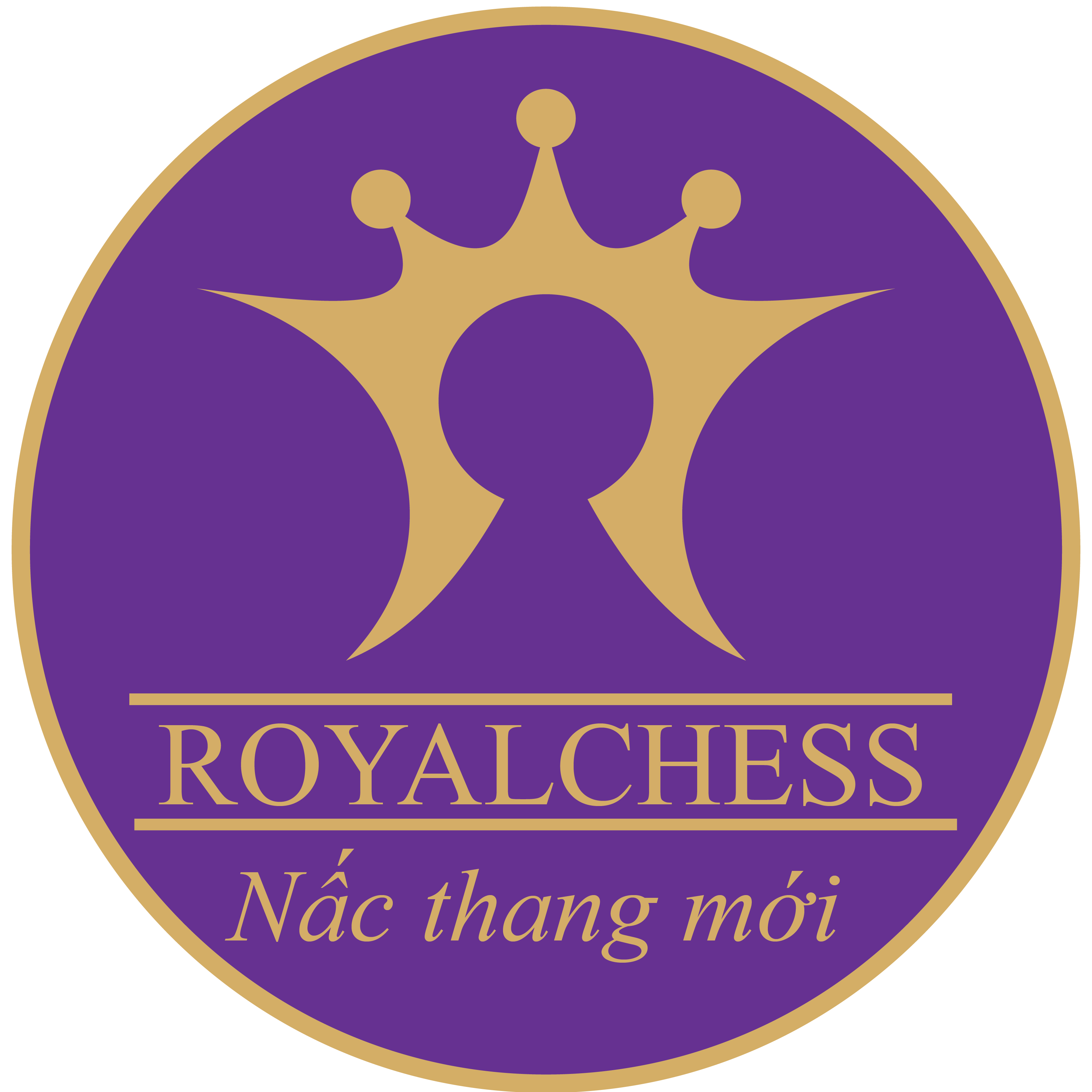 Công ty cổ phần cờ Hoàng Gia logo
