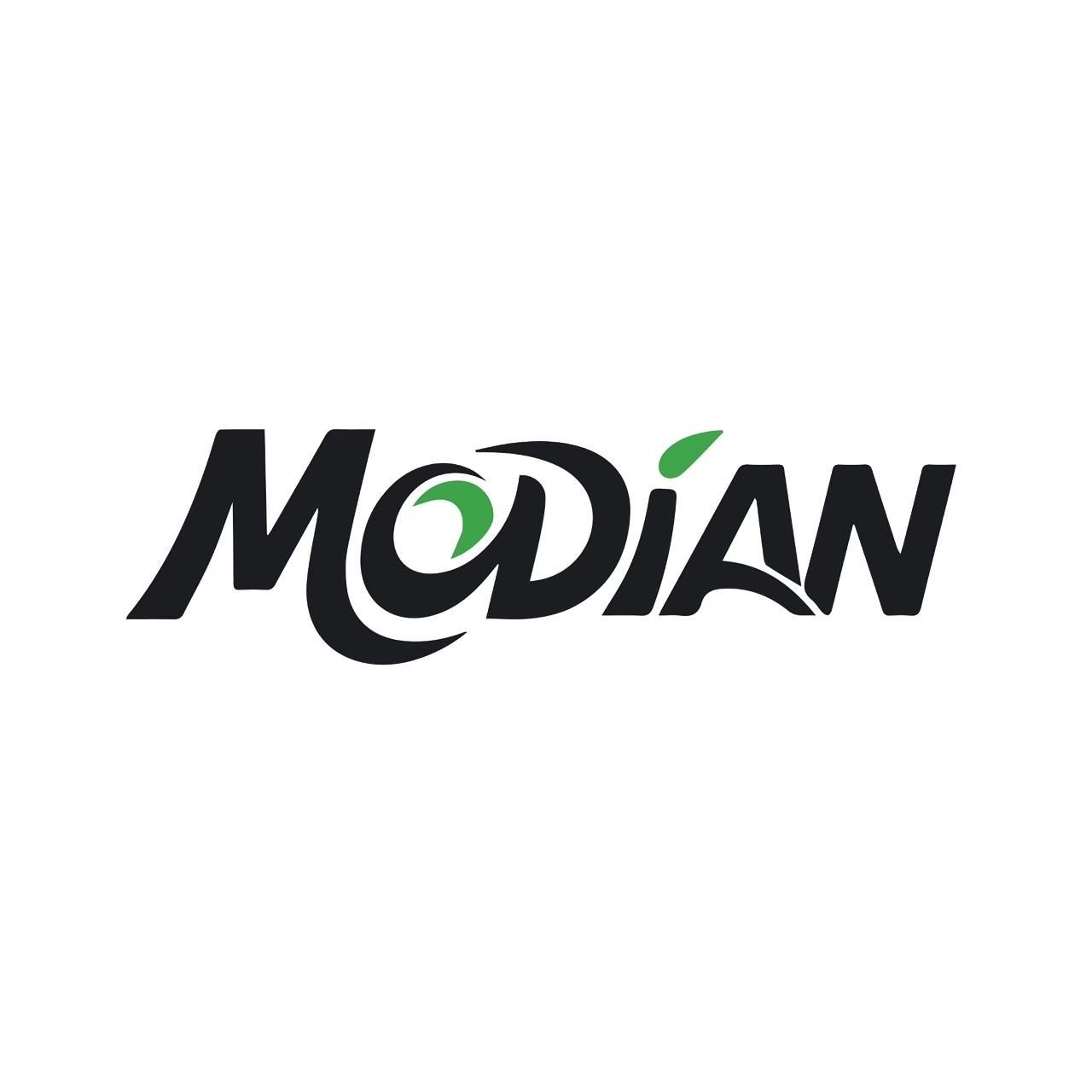 PT MODIAN WORLD INDONESIA
