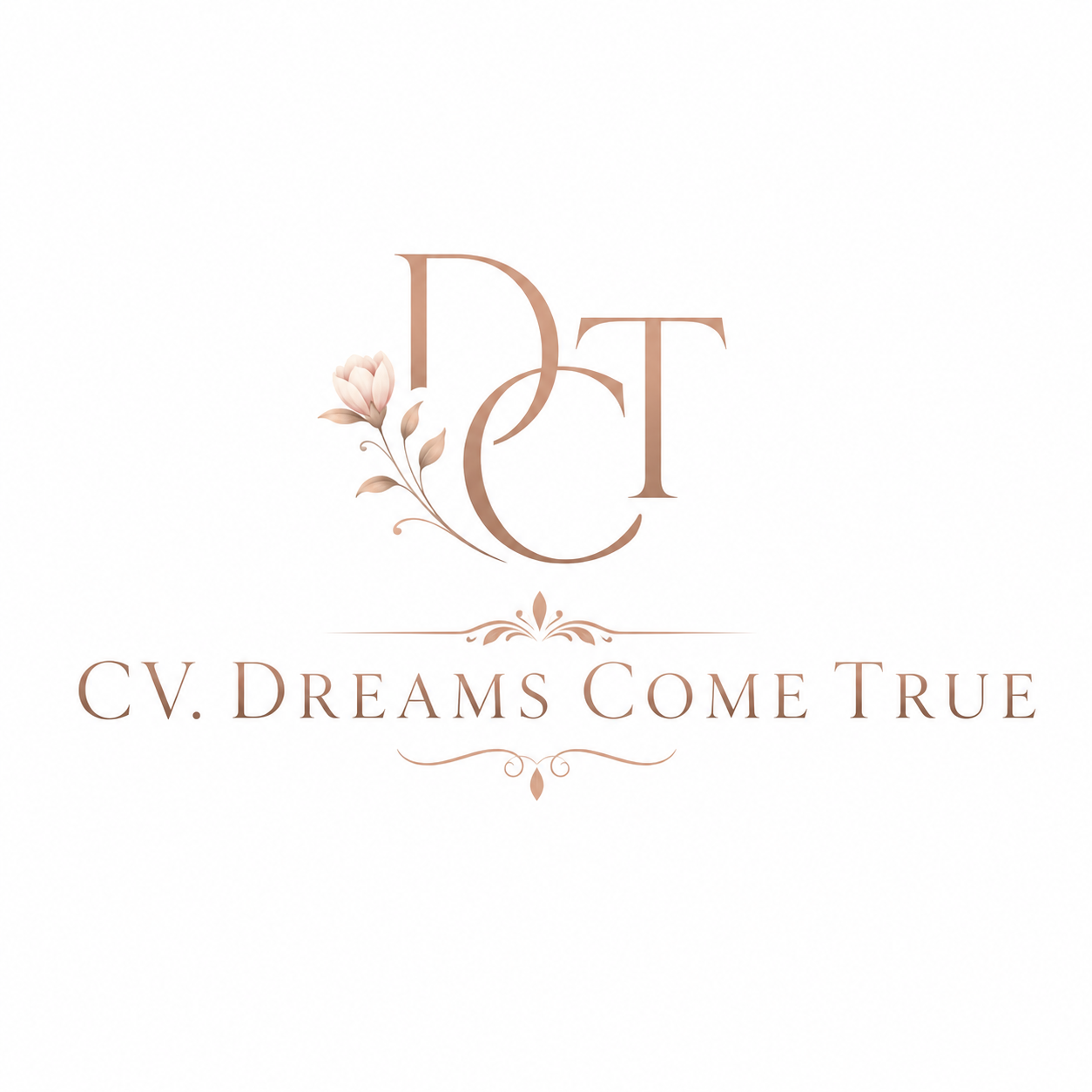 CV. DREAMS COME TRUE