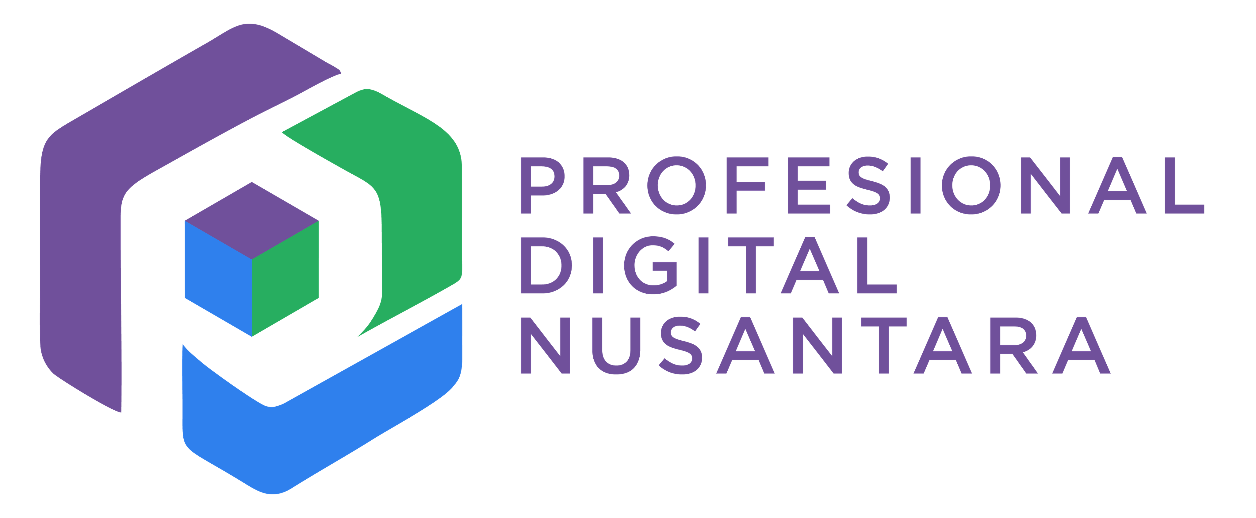 PT PROFESIONAL DIGITAL NUSANTARA