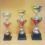 Ascot Trophy
