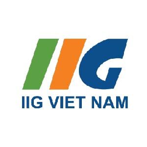 IIG Việt Nam logo
