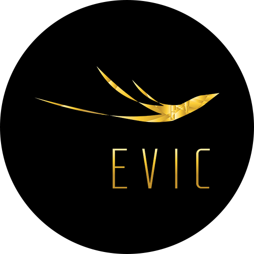 PT Evic Mora Sugih