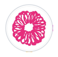 Kikkaya Wagashi