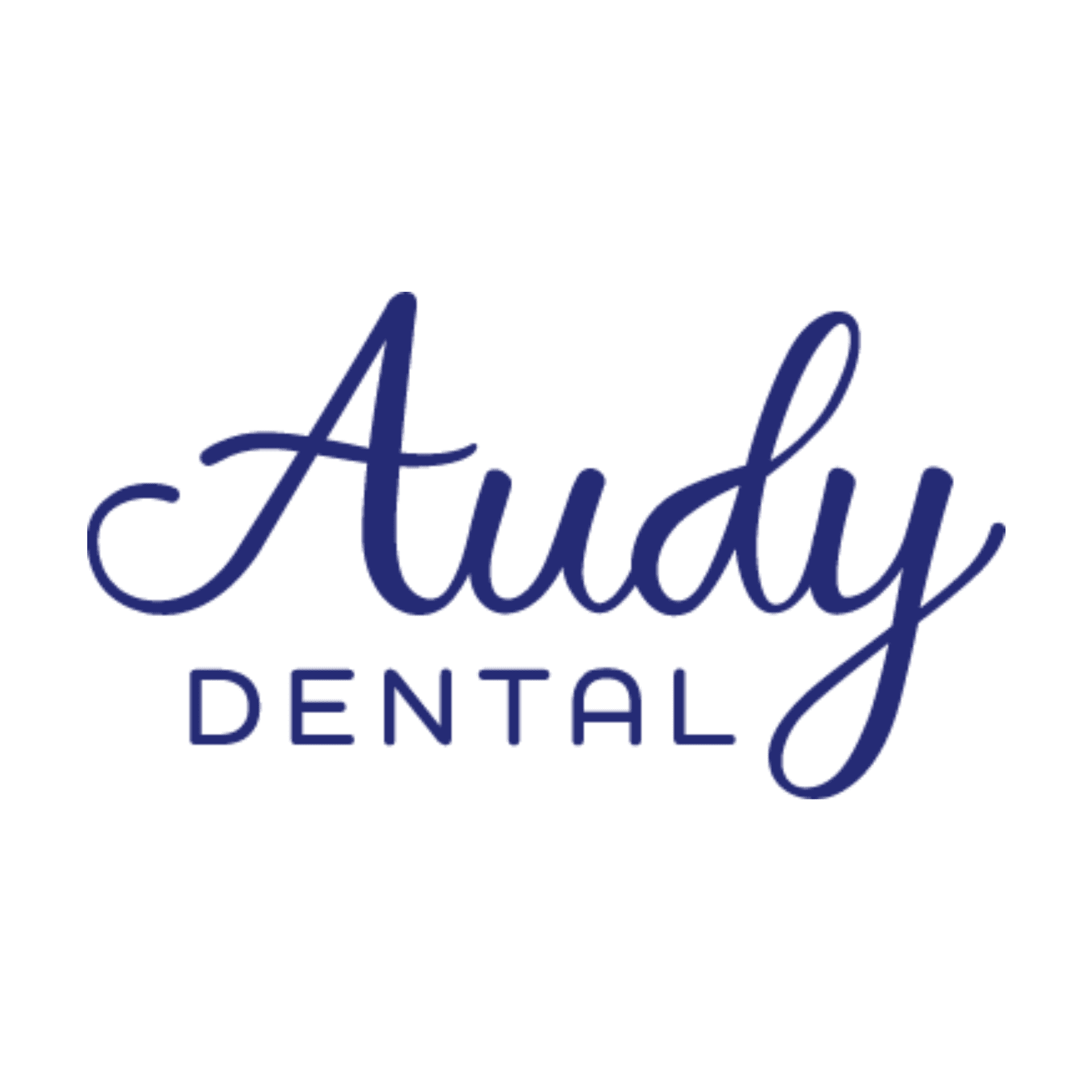 PT Audy Mandiri Indonesia