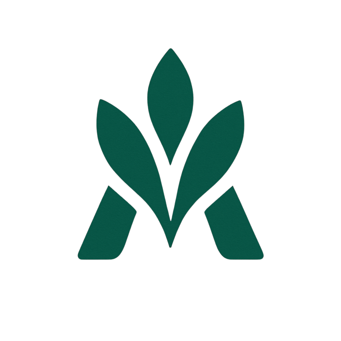 Aksana Business Lab