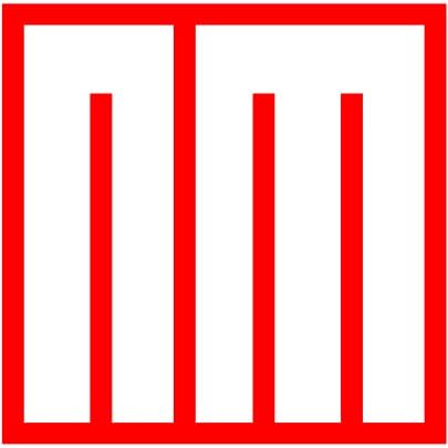 PT New Module International logo