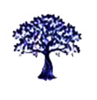 PT. Raintree Distribusi Indonesia