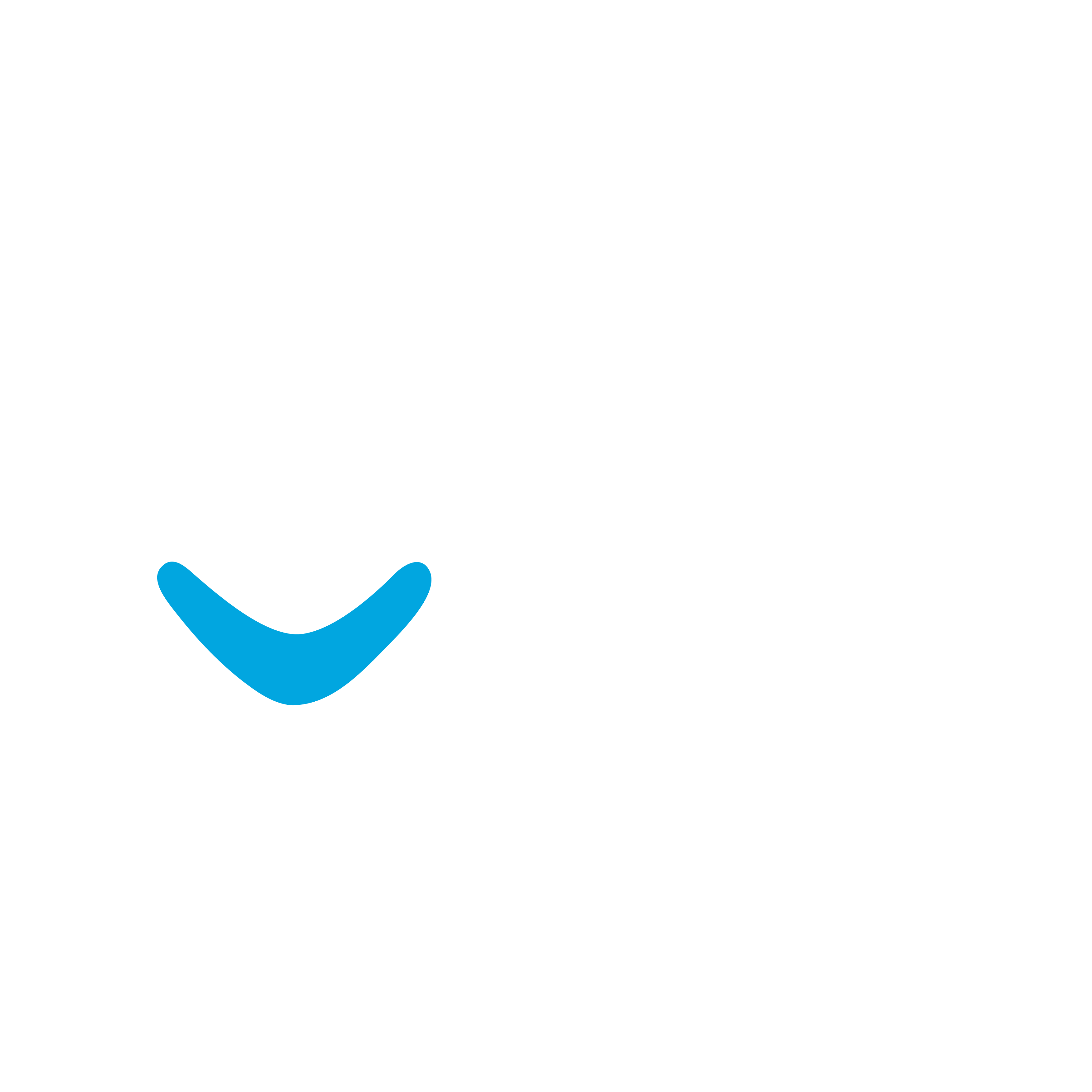 TEMAN JALAN KEBAIKAN