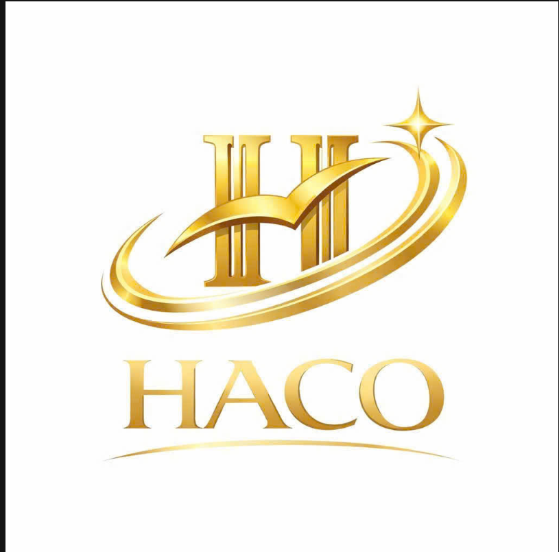 CÔNG TY TNHH TƯ VẤN DOANH NGHIỆP HACO logo