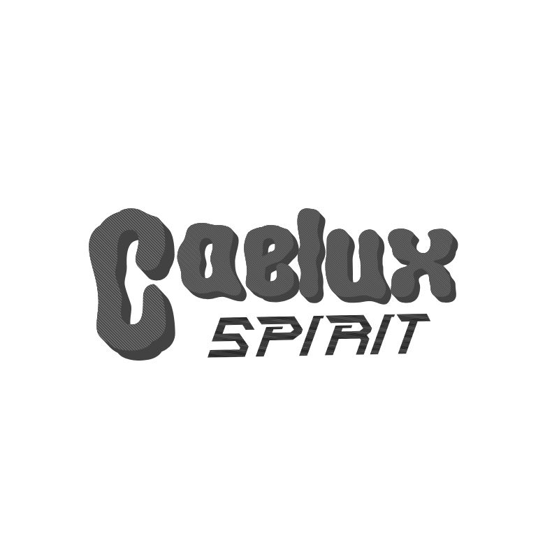PT CAELUX SPIRIT INDONESIA