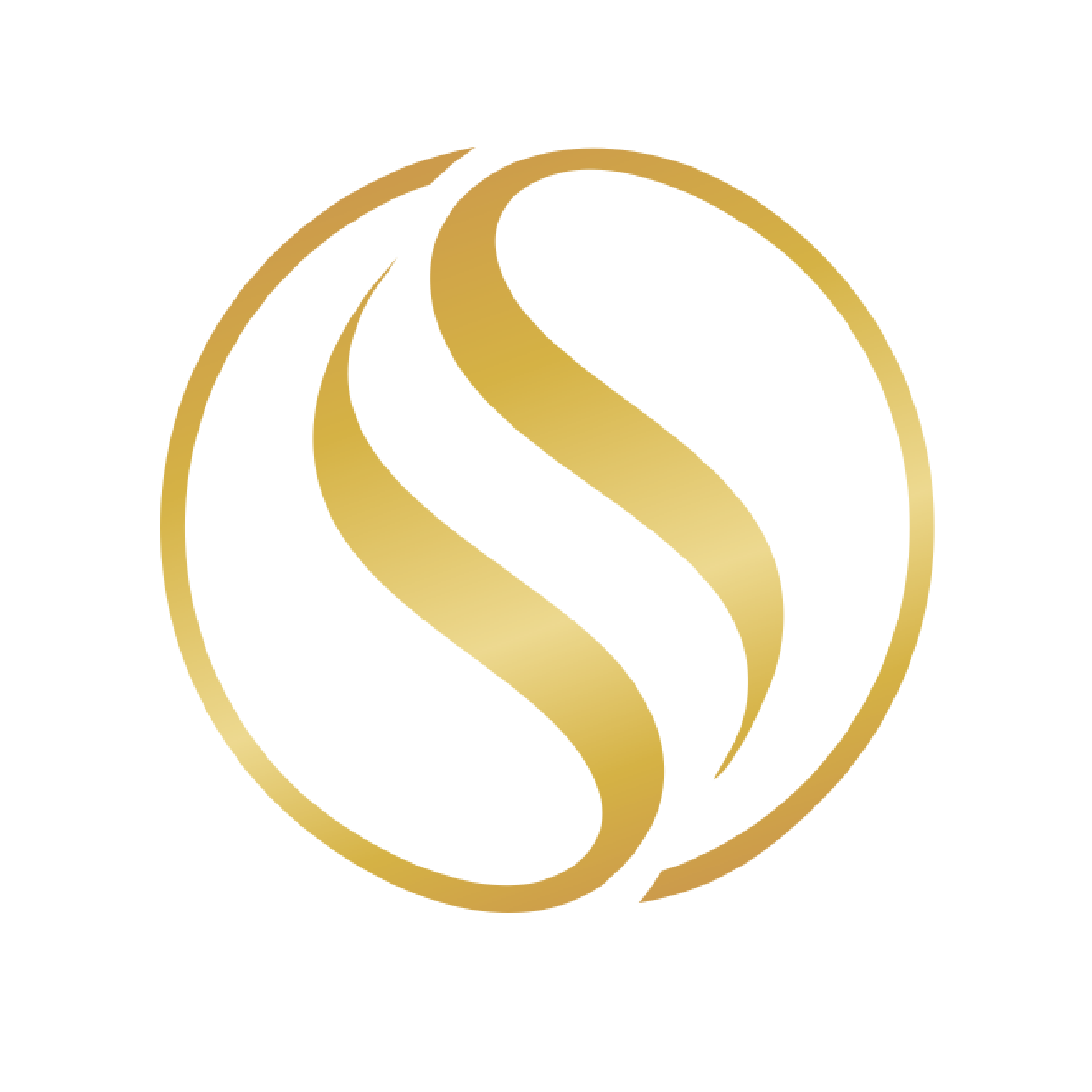 Schon salon
