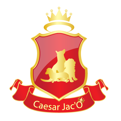 Caesar Jac'o