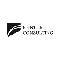 Feintur Consulting