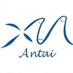 PT Antai Film Utama Jaya