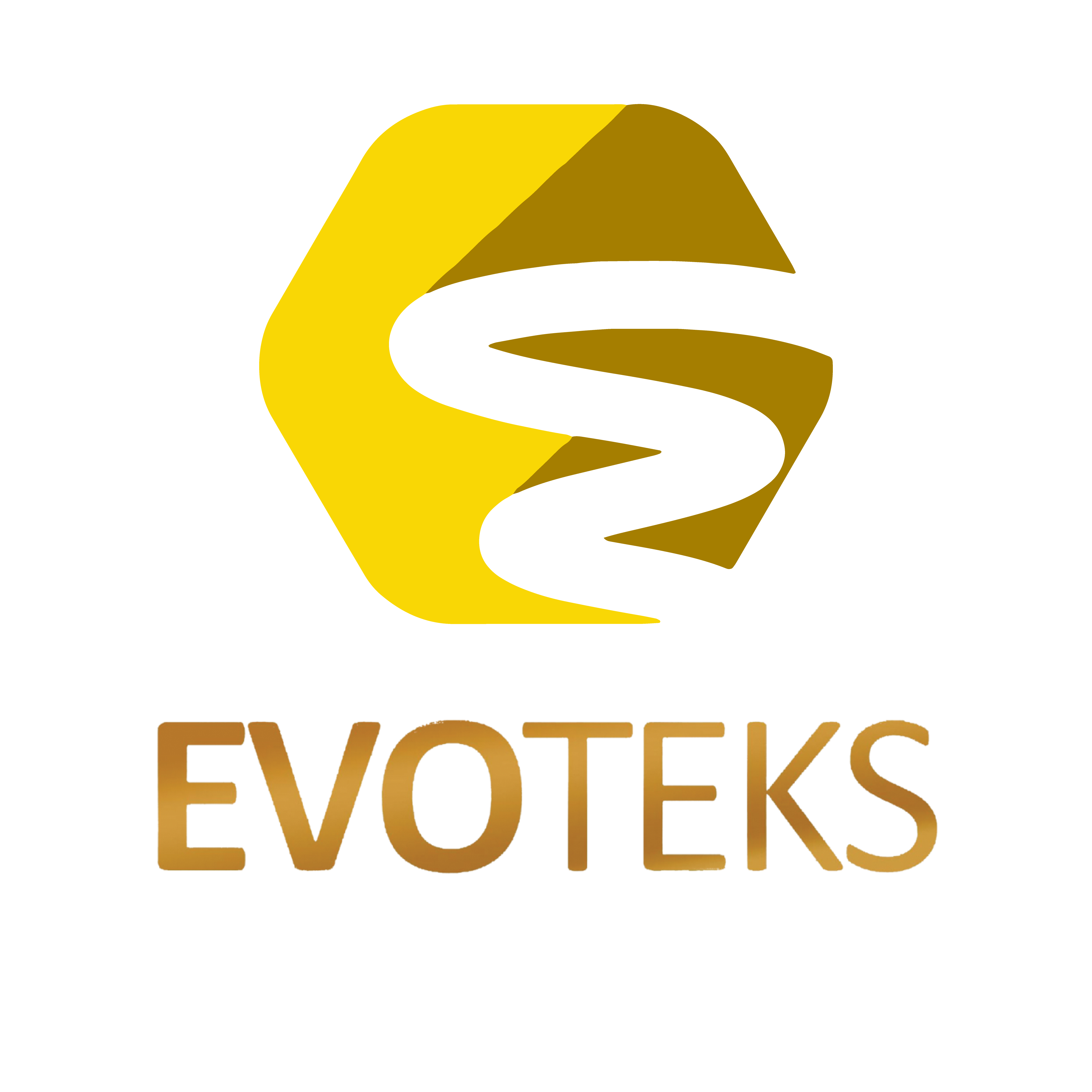 PT Evolusi Teknologi Solusi (Evoteks)