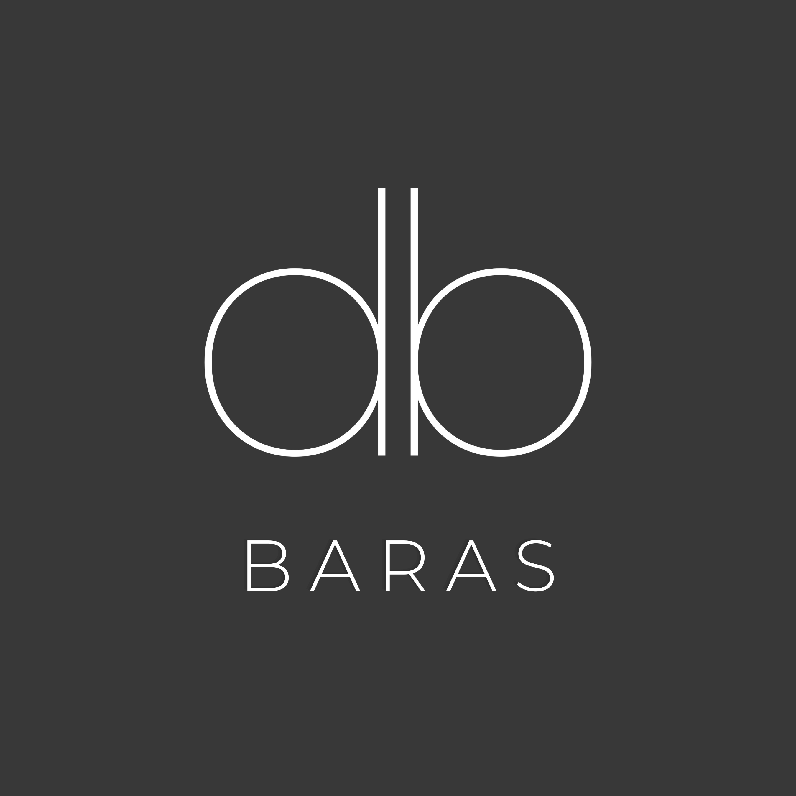 Công ty TNHH một thành viên BARAS logo