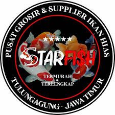 Starfish Indo