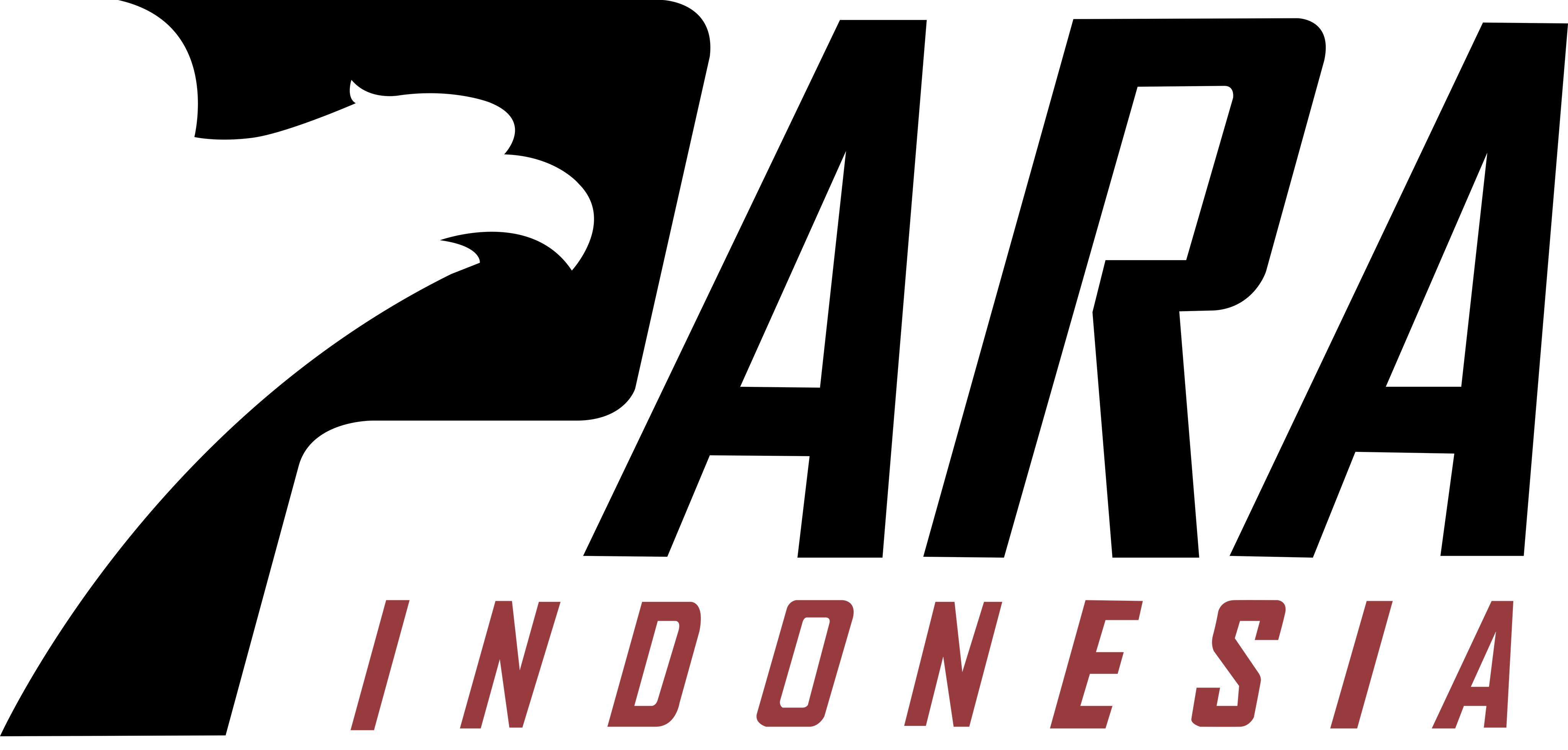 PT Pandawa Rajawali Indonesia