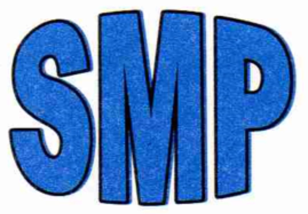 PT Sinar Mandiri Perdana