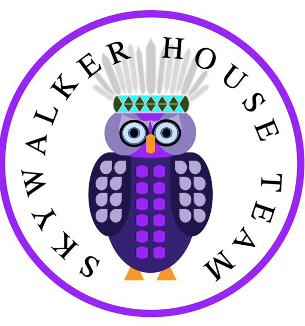 SKY WALKER ACADEMY