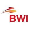 PT. Bumi Wijaya Indorail logo