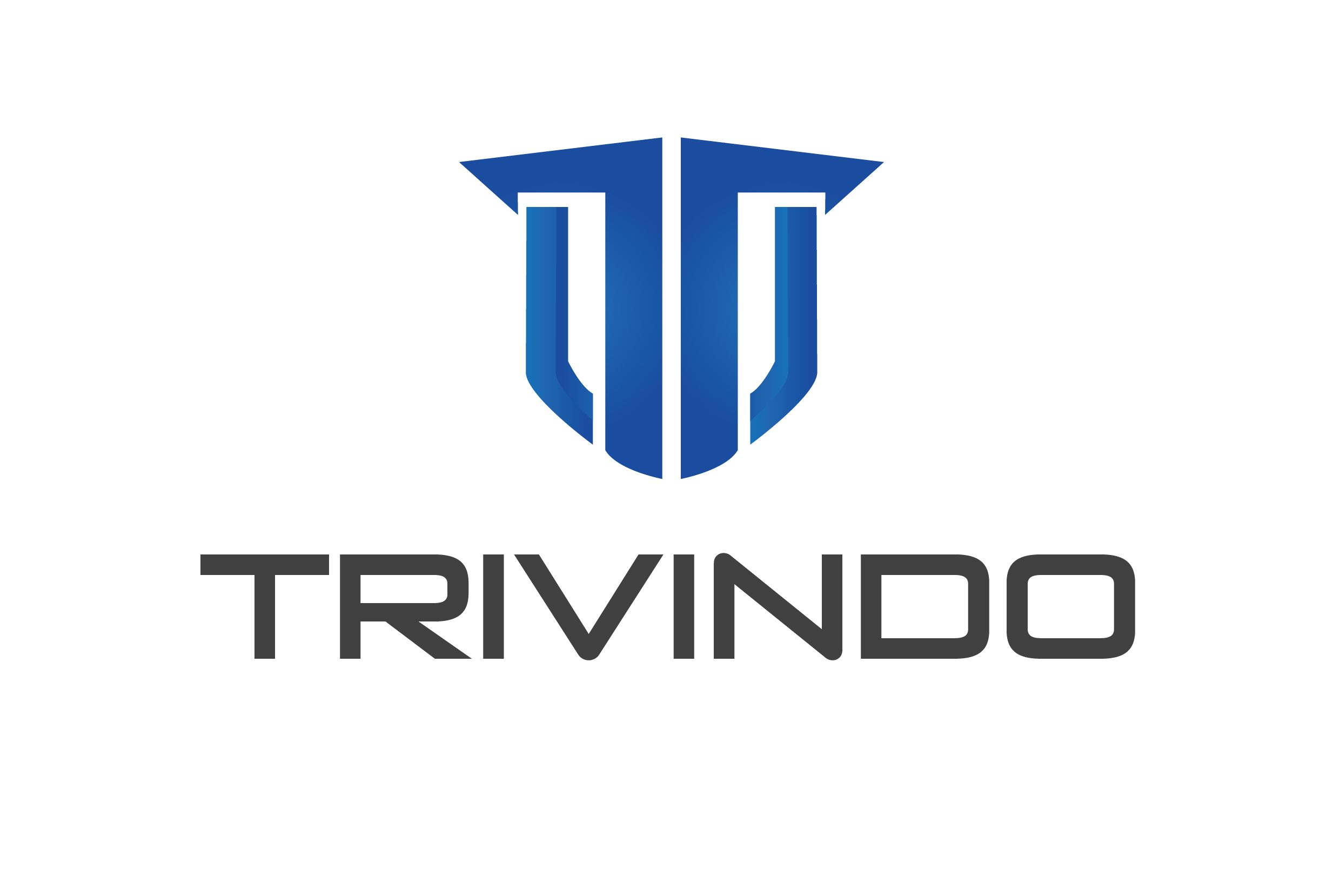 TRIVINDO GROUP