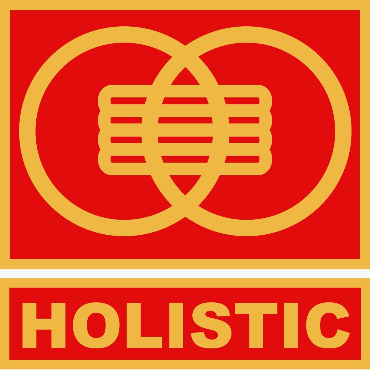 PT HOLISTIC INDONESIA