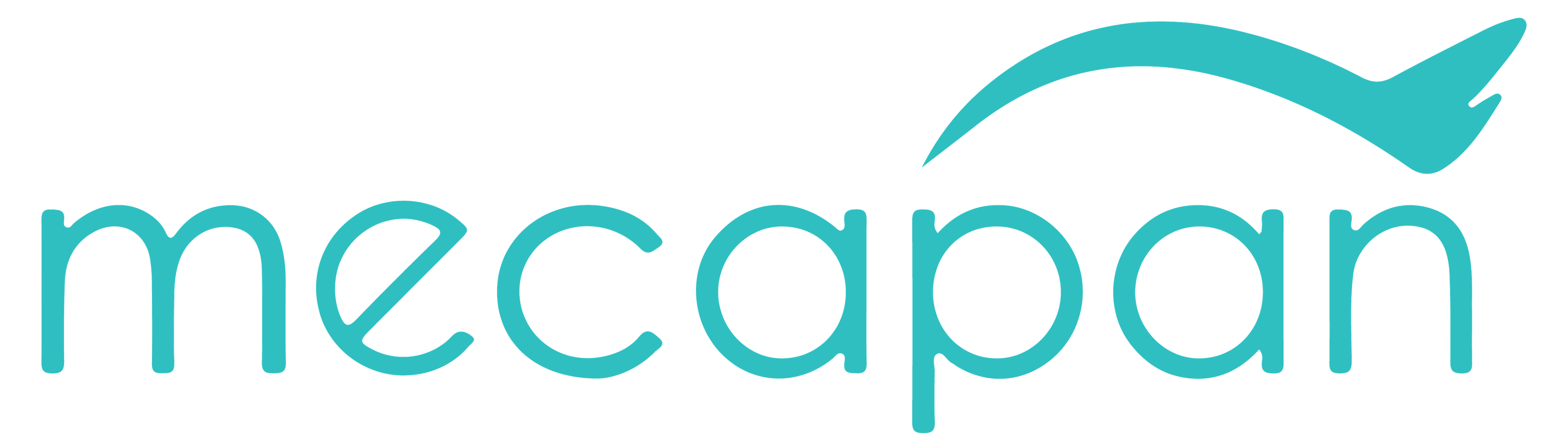 PT. Mecapan Kreasi Indonesia